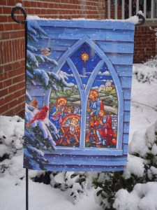 The Nativity: Our Yard 2010