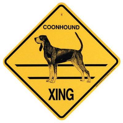 coonhound_xing