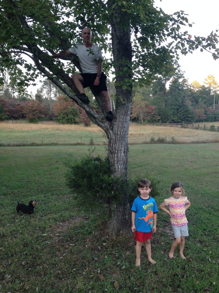 Adopt a Tree: October 10, 2013. Our Maple Tree is still quite green and Carter & Ammon can still wear shorts