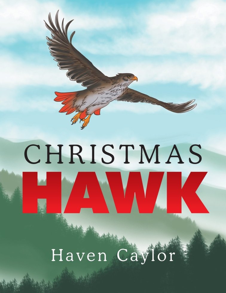 "Christmas Hawk"