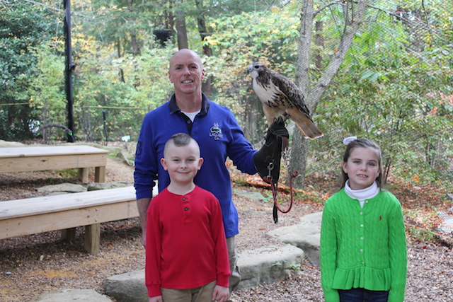 Rock City's Birds of Prey Red-tailed Hawk, Cody